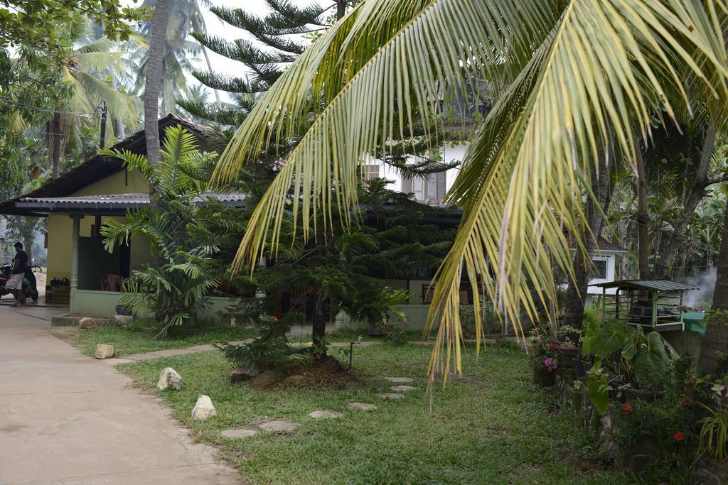 Traveller'S Home Hotel Tissamaharama Ngoại thất bức ảnh