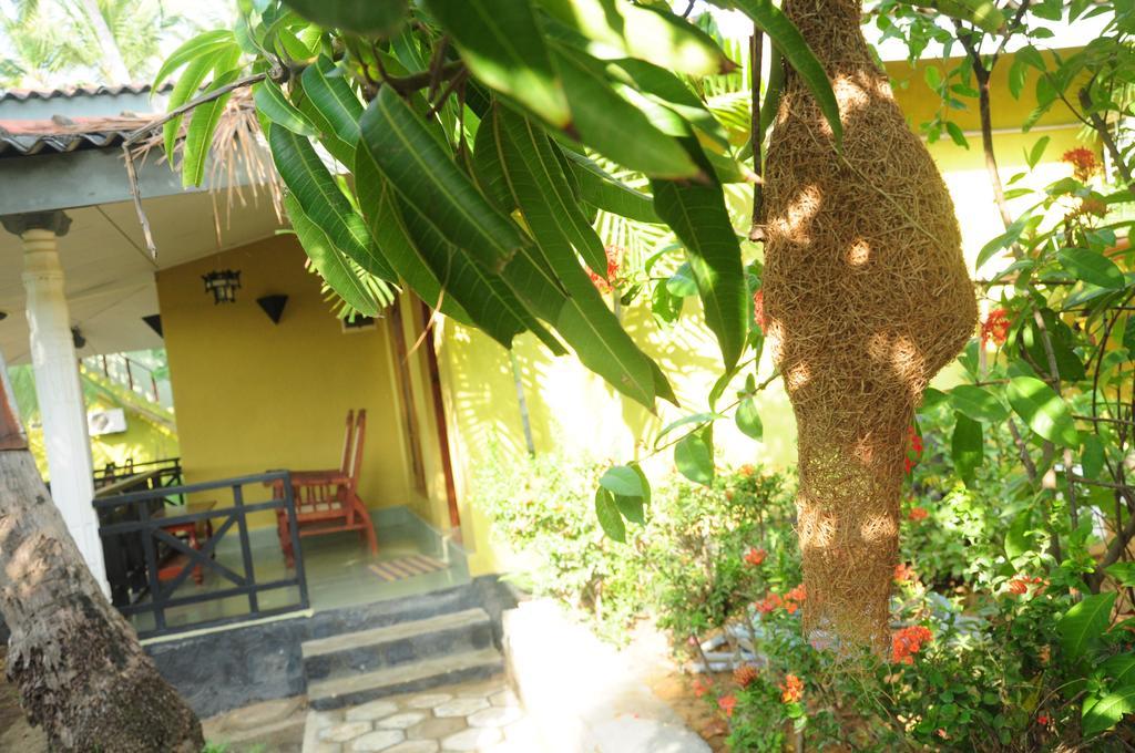 Traveller'S Home Hotel Tissamaharama Ngoại thất bức ảnh