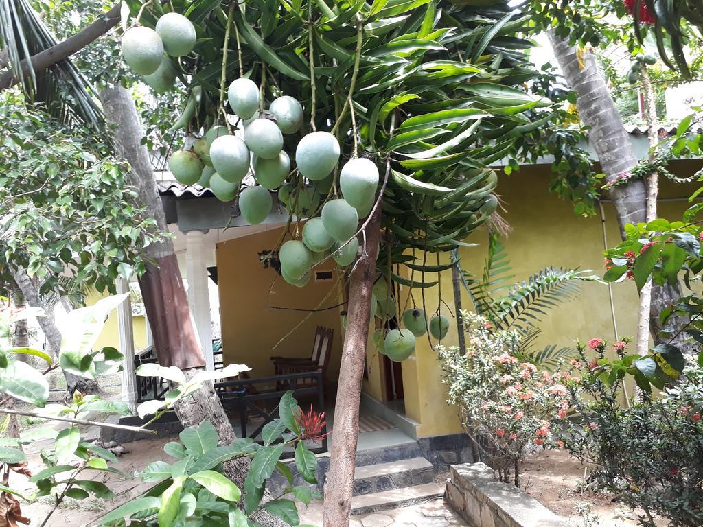 Traveller'S Home Hotel Tissamaharama Ngoại thất bức ảnh