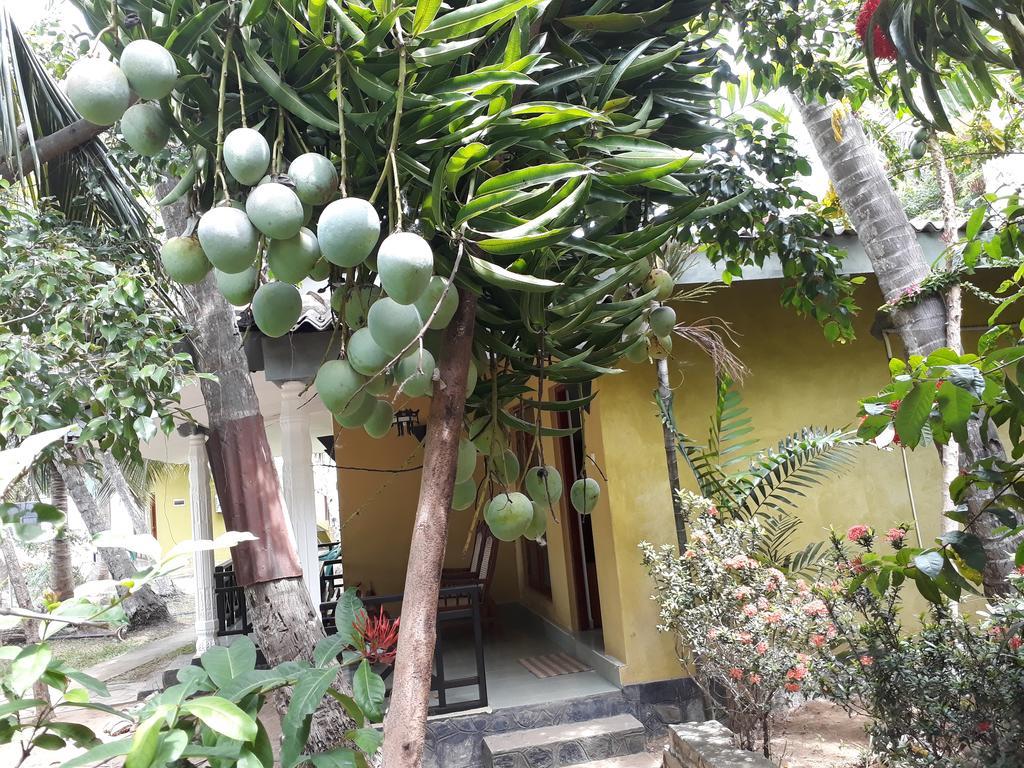 Traveller'S Home Hotel Tissamaharama Ngoại thất bức ảnh