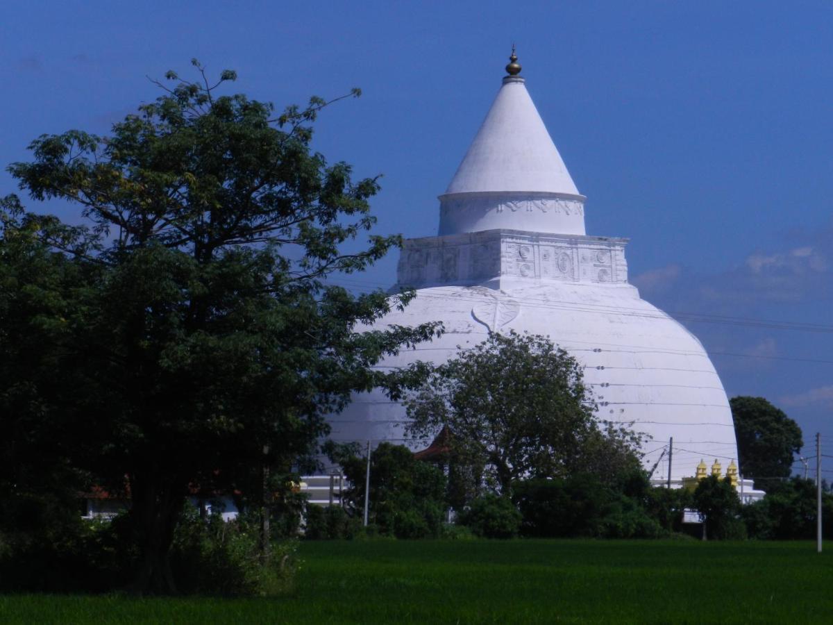 Traveller'S Home Hotel Tissamaharama Ngoại thất bức ảnh
